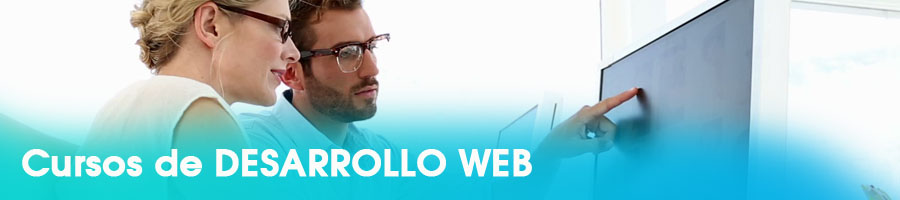 desarrollo web