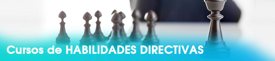 cursos de habilidades directivas